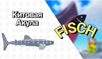 Китовая акула — Фиш