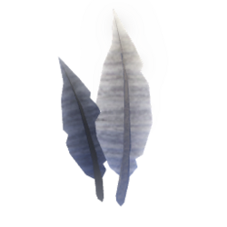 Перо