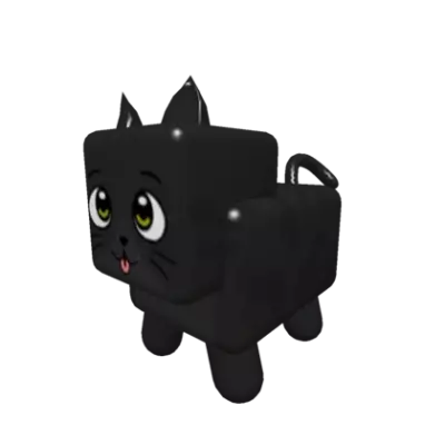 Black Cat