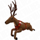 Reindeer